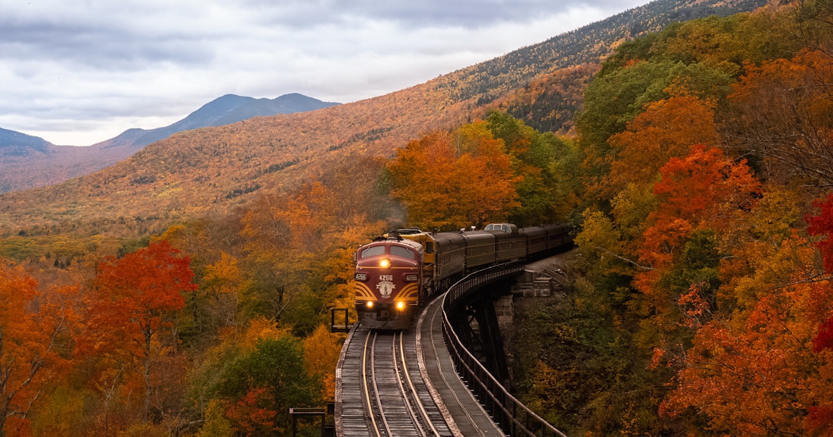 Guia Completo de Apostas Esportivas para Iniciantes em 2026